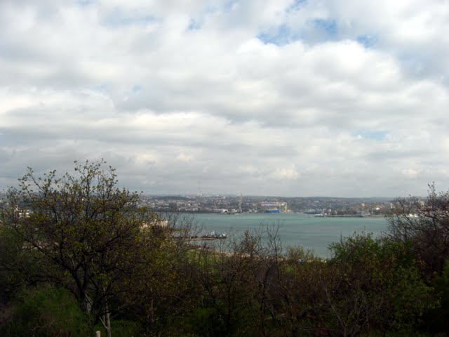 �����������. ����������. ��� �� ����